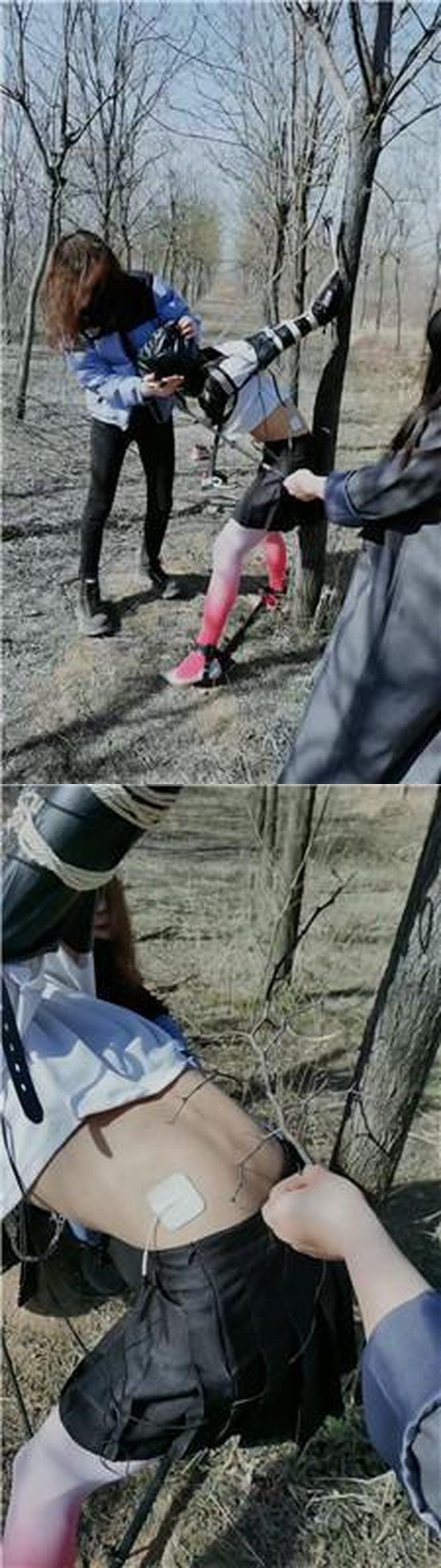 视频截图
