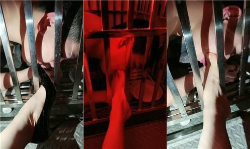 UUS | 囚禁狗笼恋足舔 JS250313-16
