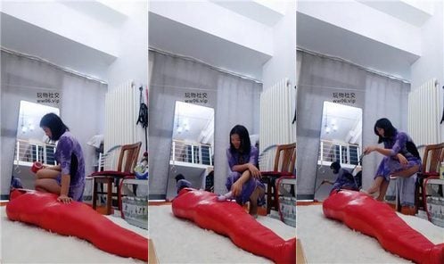 妮佳 | 全包木乃伊狗 双视角版 JS250321-2