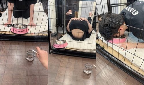 佳禾 | 圈养狗笼-狗盆喂食-赏赐洗澡水 JS250325-37