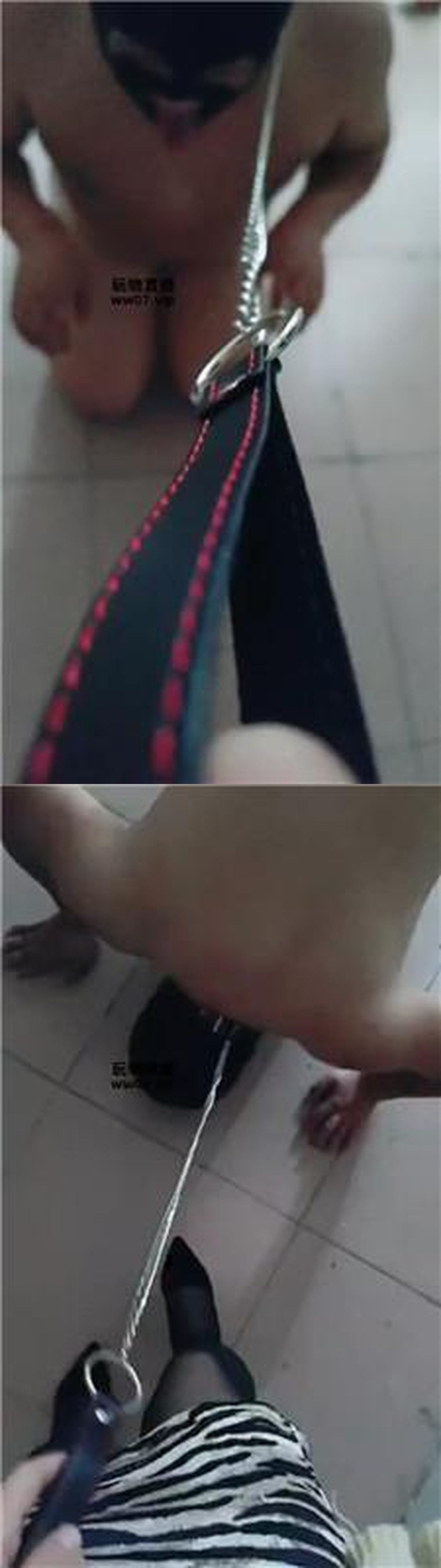 视频截图