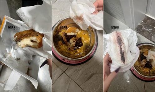 佳禾小妈 | 狗盆喂食专场 JS250401-20