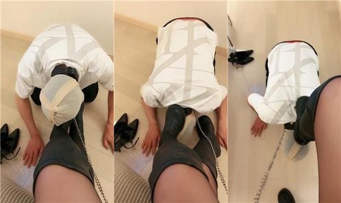 sss媛 | 下贱狗重度耳光践踏 JS250408-1