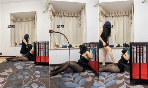 DB饼 | 捆绑囚禁狗笼犬化 JS250410-7