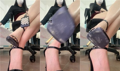 猫王 | 开发早些学生狗 250413-9