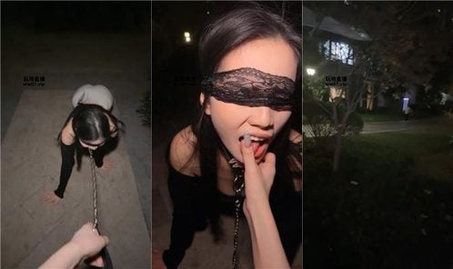 反差楠熙 | 推荐-母畜-户外遛狗犬化 bf52487