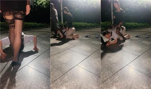 软软 | 3S-带素人闺蜜体验户外遛狗 双视角版 bf52826