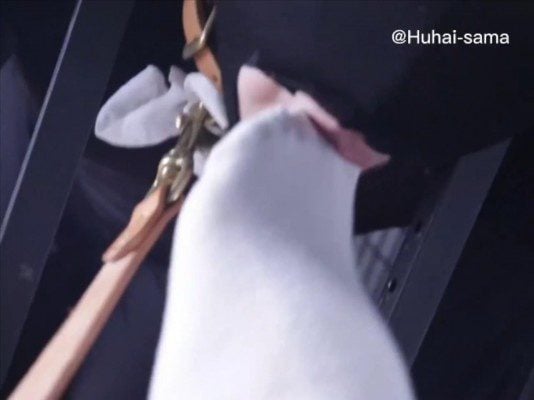 女主让被圈养在笼子里的男奴强制为自己除臭 JS251223 2