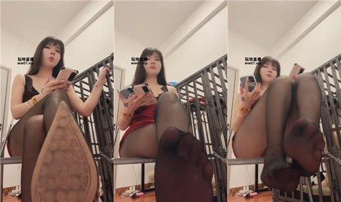 凤主大人 | 狗笼骚狗陪直播 JS250503-7