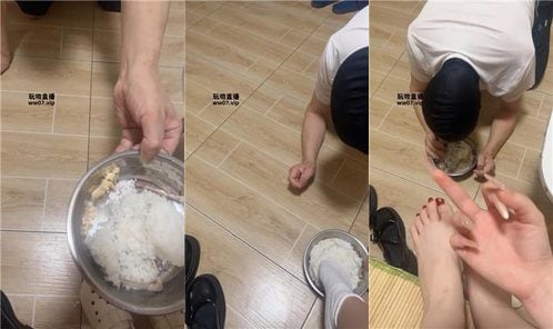 琼爷 | 狗盆喂食剩饭剩菜 JS250505-4