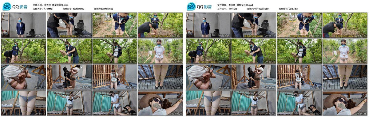 李大侠 绑架女白领
