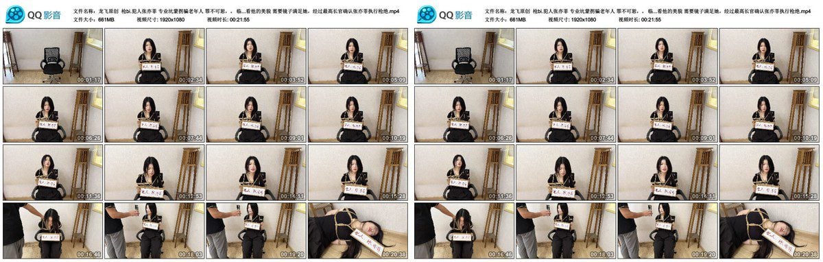 龙飞原创 枪bi犯人张亦菲 专业坑蒙拐骗老年人 罪不可恕