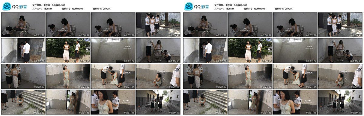 梨花雨 飞扬跋扈