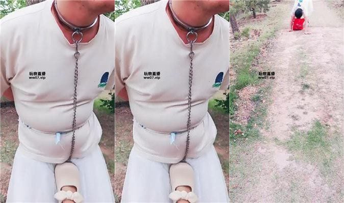 Xi Ruo Outdoor Training Dog for Spying JS250509-4