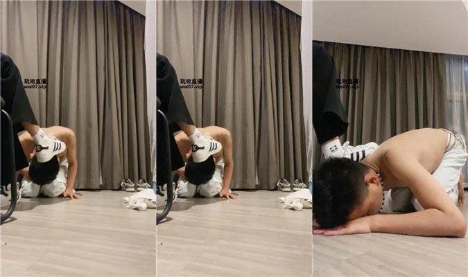 姜 贝壳头白棉袜脚下喂食 JS250511-11