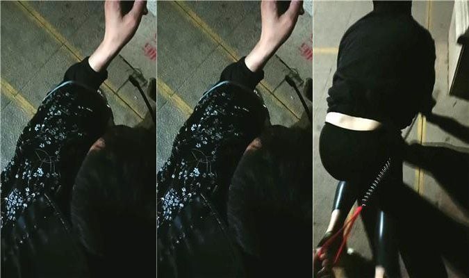 珍惜女王 户外拴狗链遛狗 JS250512-13