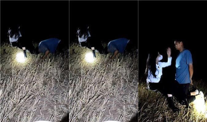 倦 户外遛狗犬化 JS250525-15
