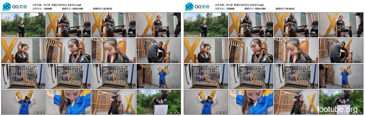 李大霞の特殊作戦サイドストーリー：女盗賊の終末