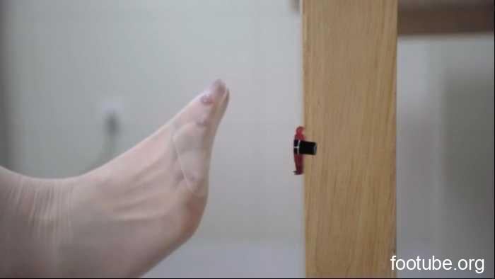 Domestic GTS brutal dismemberment and trampling JS260426-1
