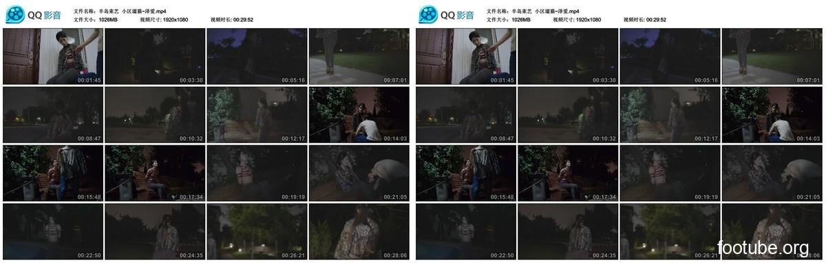 Walking cats in Peninsula Shuyi Community