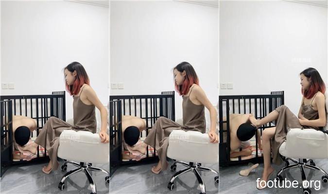 阿楠 狗笼圈养人形犬 bf56884