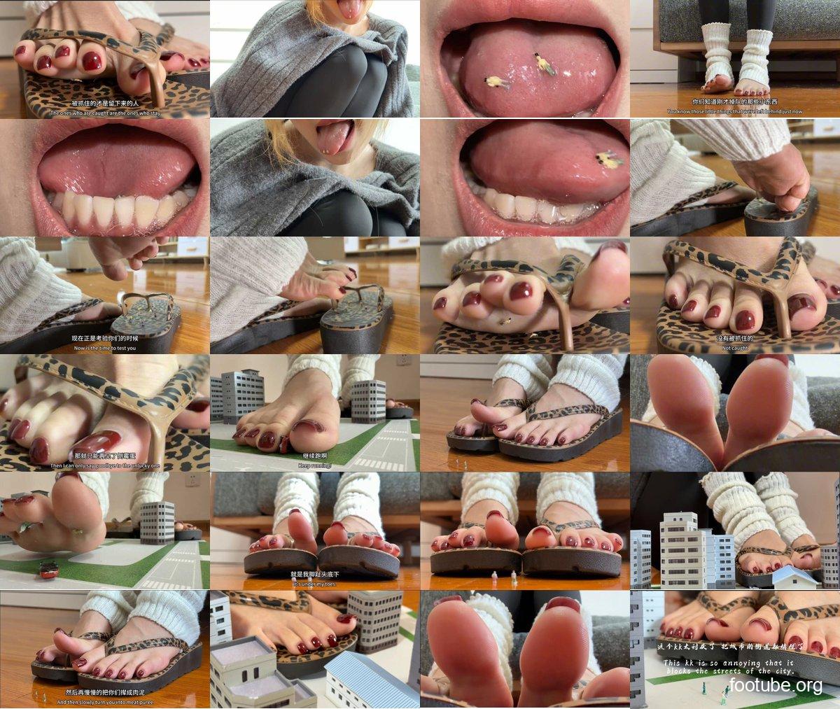 プレビュー
